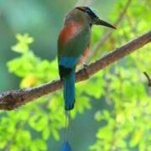 Meet your Posher, Jorge